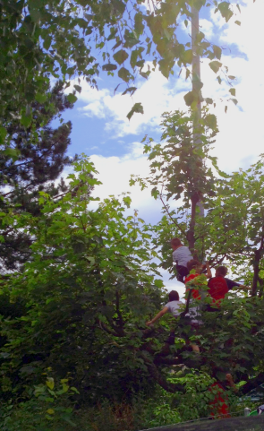 Team Tuggen auf dem Baum